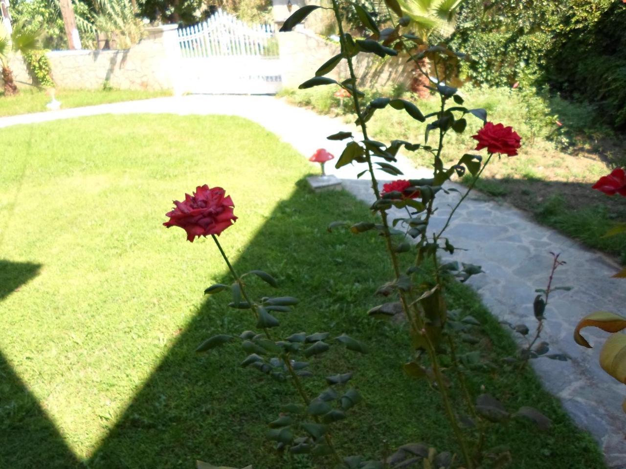 Hotel Villa Basil 티실리비 외부 사진